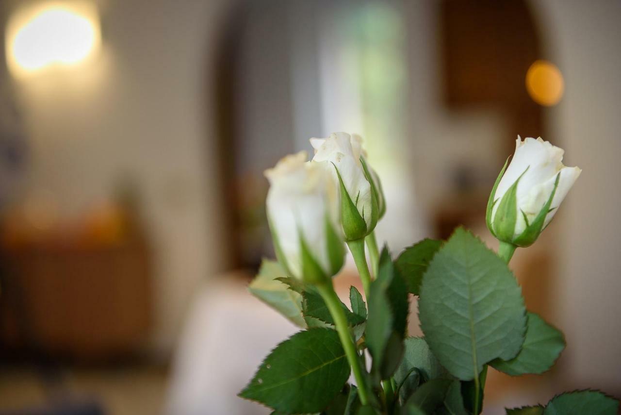 Bed And Breakfast Sweet Home Tirano Exteriér fotografie